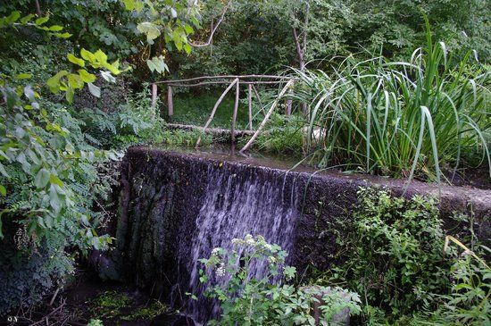 Botanical Garden Ecopark